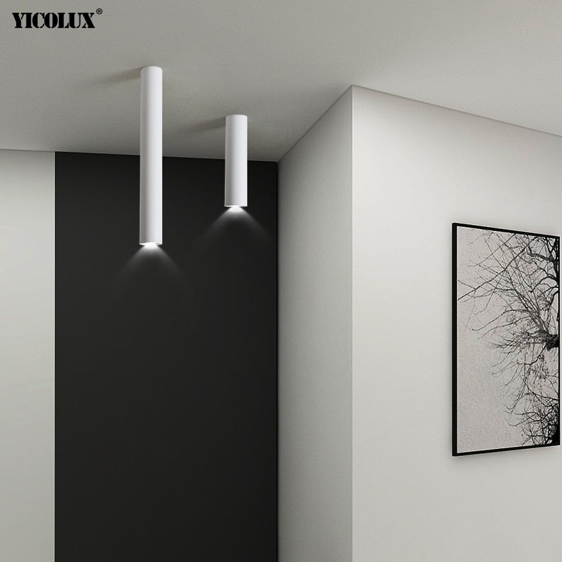 Simple New Modern LED Ceiling Lights Living Study Room Bedroom Aisle Cloakroom Indoor Lighting  Downlight Dimmable Remote Lamps