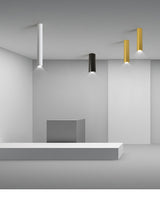 Simple New Modern LED Ceiling Lights Living Study Room Bedroom Aisle Cloakroom Indoor Lighting  Downlight Dimmable Remote Lamps