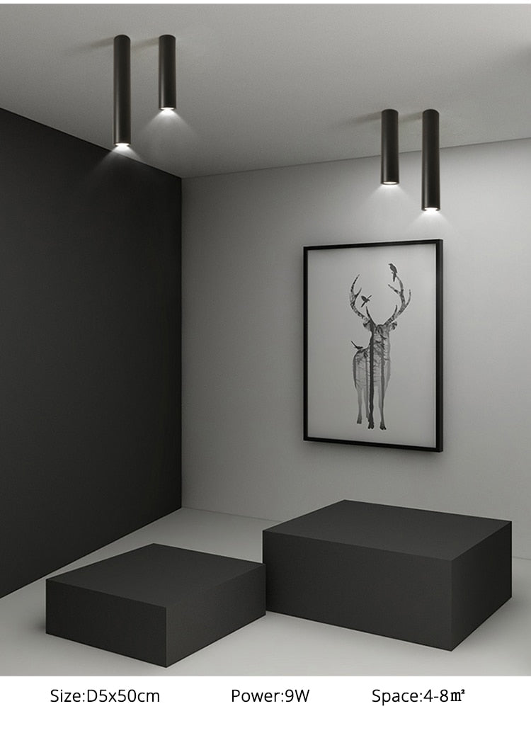 Simple New Modern LED Ceiling Lights Living Study Room Bedroom Aisle Cloakroom Indoor Lighting  Downlight Dimmable Remote Lamps