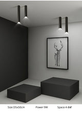 Simple New Modern LED Ceiling Lights Living Study Room Bedroom Aisle Cloakroom Indoor Lighting  Downlight Dimmable Remote Lamps