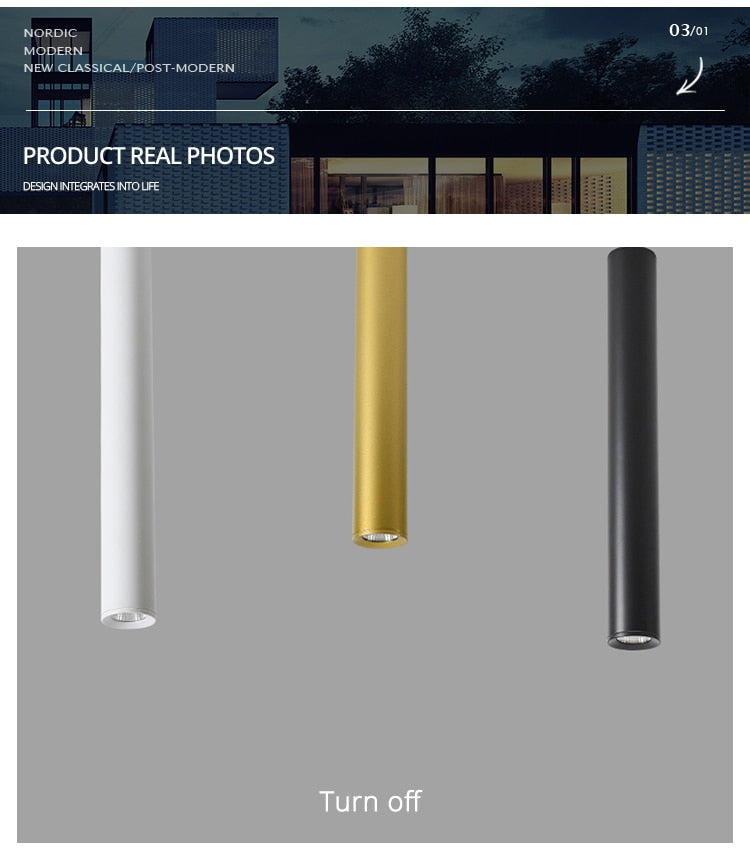 Simple New Modern LED Ceiling Lights Living Study Room Bedroom Aisle Cloakroom Indoor Lighting  Downlight Dimmable Remote Lamps