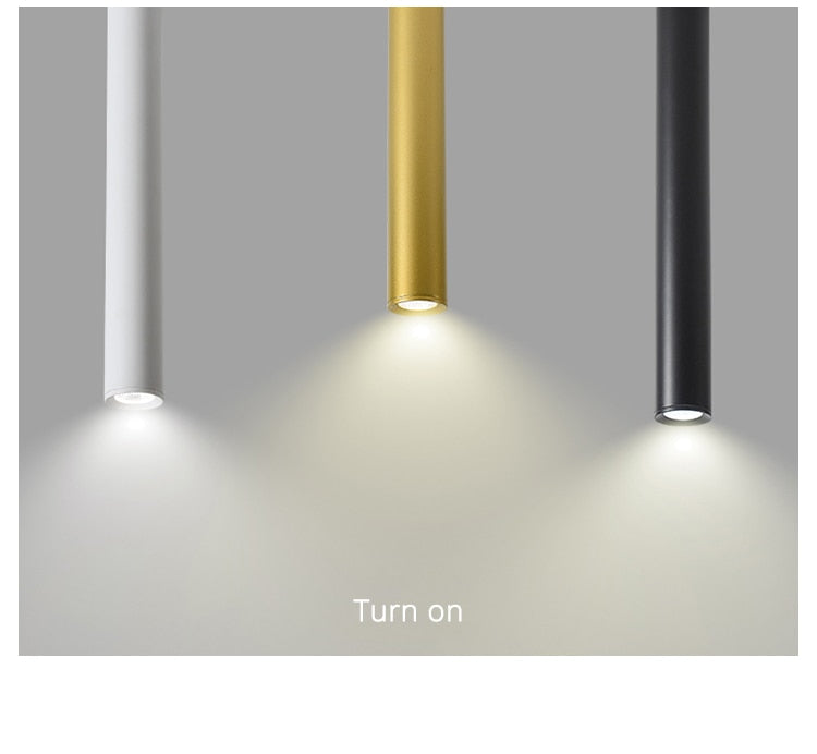 Simple New Modern LED Ceiling Lights Living Study Room Bedroom Aisle Cloakroom Indoor Lighting  Downlight Dimmable Remote Lamps