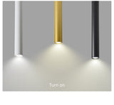 Simple New Modern LED Ceiling Lights Living Study Room Bedroom Aisle Cloakroom Indoor Lighting  Downlight Dimmable Remote Lamps