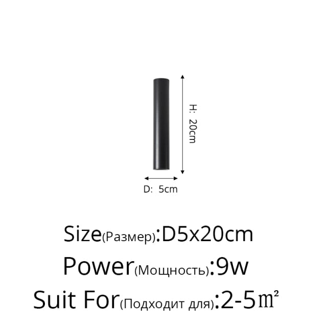 Simple New Modern LED Ceiling Lights Living Study Room Bedroom Aisle Cloakroom Indoor Lighting  Downlight Dimmable Remote Lamps