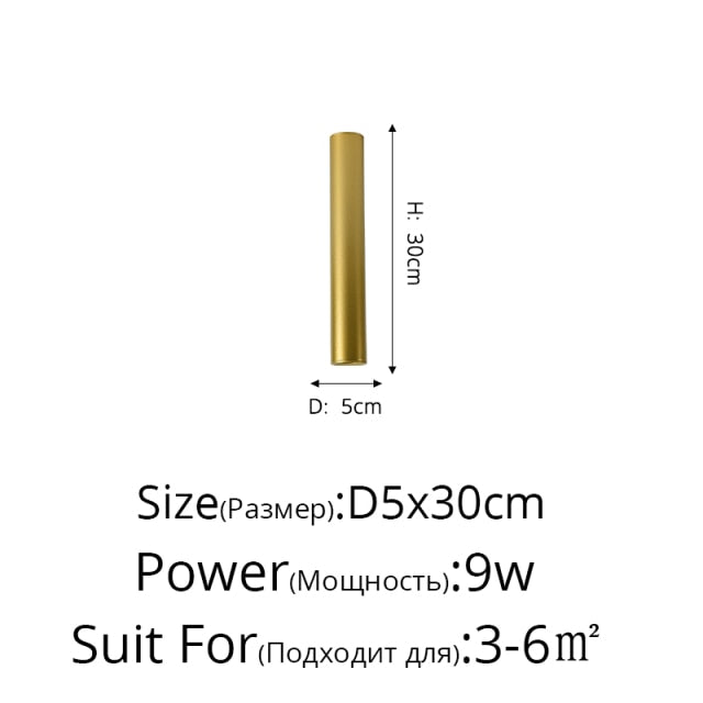 Simple New Modern LED Ceiling Lights Living Study Room Bedroom Aisle Cloakroom Indoor Lighting  Downlight Dimmable Remote Lamps