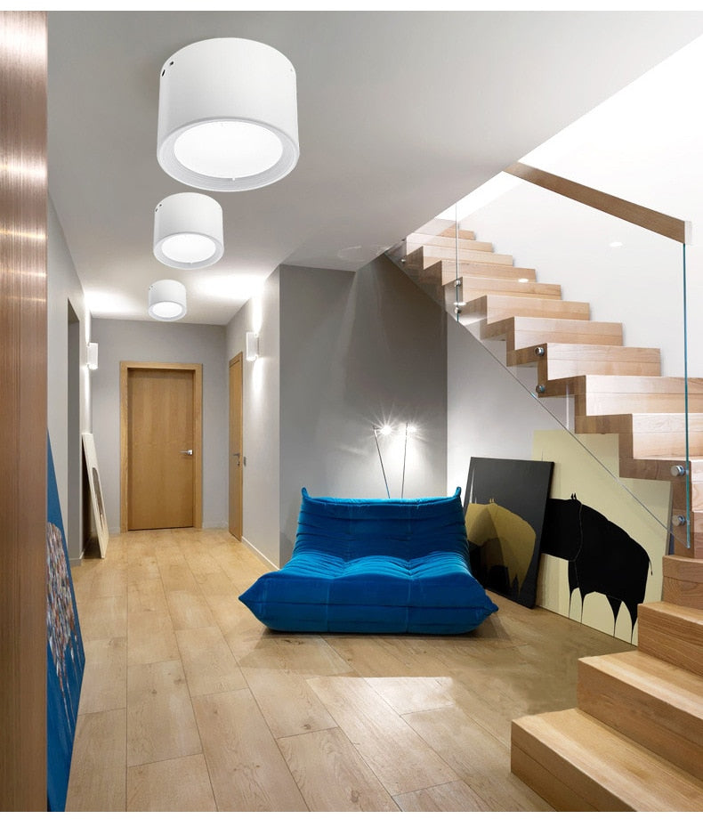 LED Ceiling Surface Mounted Downlight SMD5730 5W 7W 12W 18W AC85-265V 110V/220V lamp Led downlights Ceiling Spot light