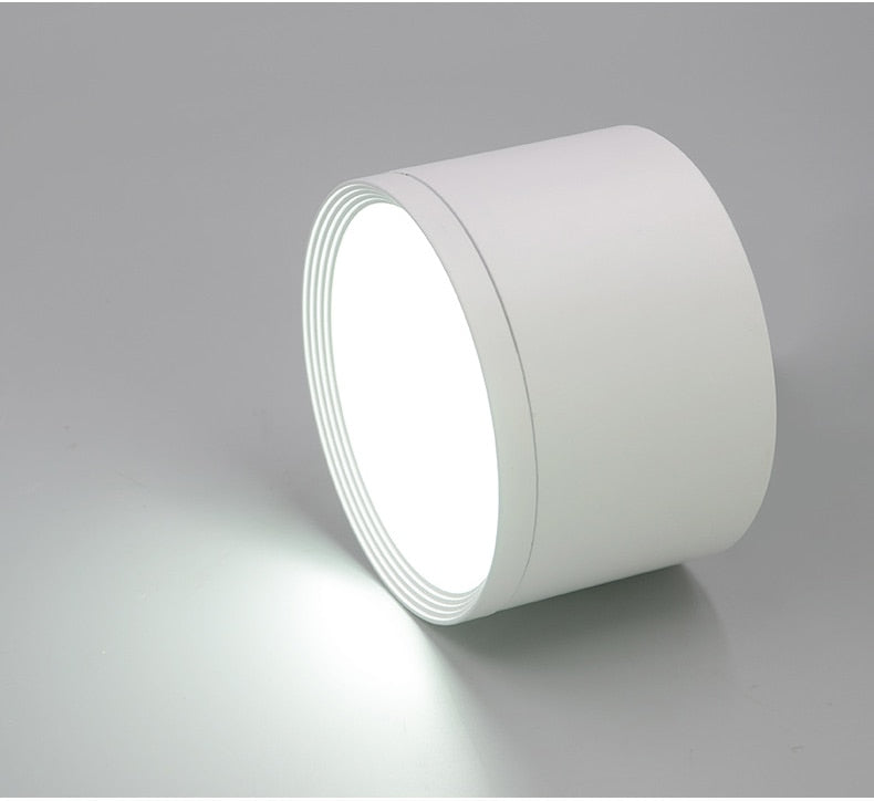 Dimmable LED Ceiling  Downlight SMD5730 5W 7W 12W 18W 22w 24w AC85-265V Lamp Indoor Lighting Spot