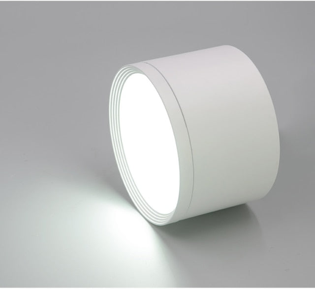 Dimmable LED Ceiling  Downlight SMD5730 5W 7W 12W 18W 22w 24w AC85-265V Lamp Indoor Lighting Spot