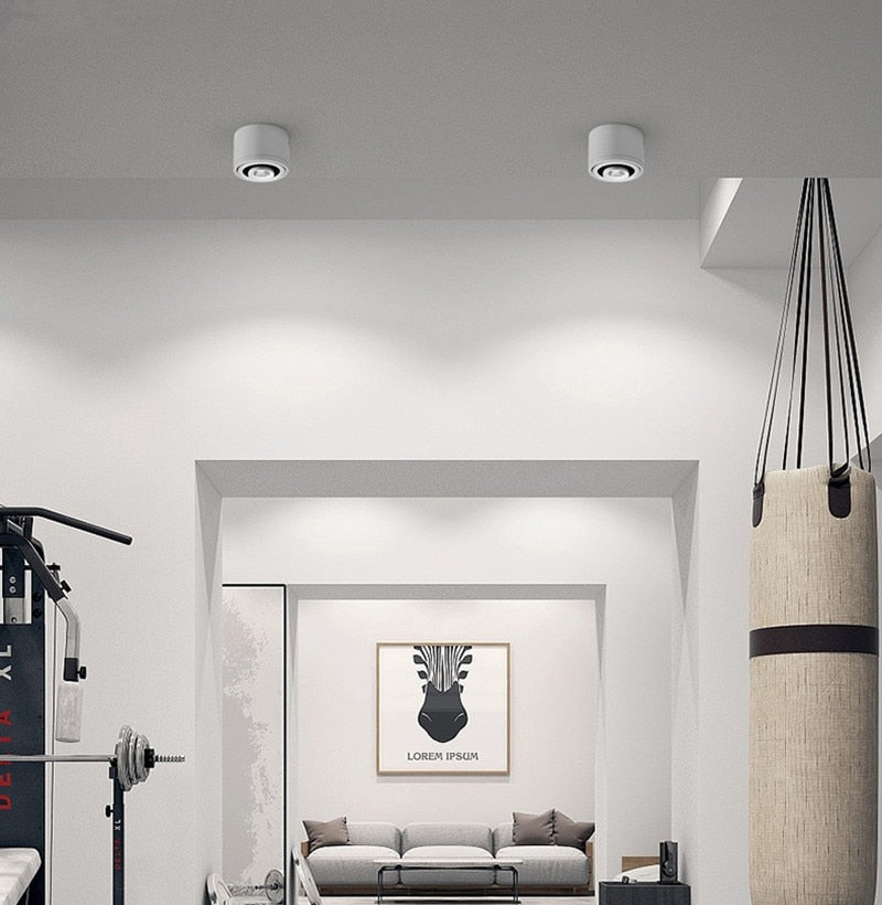 Dimmable surface mounted LED downlight spot light 5W/7W/9W/15WCOB wall lamp AC85V-265V ceiling light living room commercial home