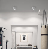 Dimmable surface mounted LED downlight spot light 5W/7W/9W/15WCOB wall lamp AC85V-265V ceiling light living room commercial home