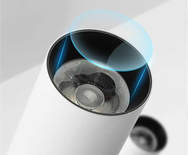 Ceiling Light 7W 12W 20W 30W COB LED Spotlight Surface Mounted Downlight Spot Lights family installation Ceiling Lamp 220V