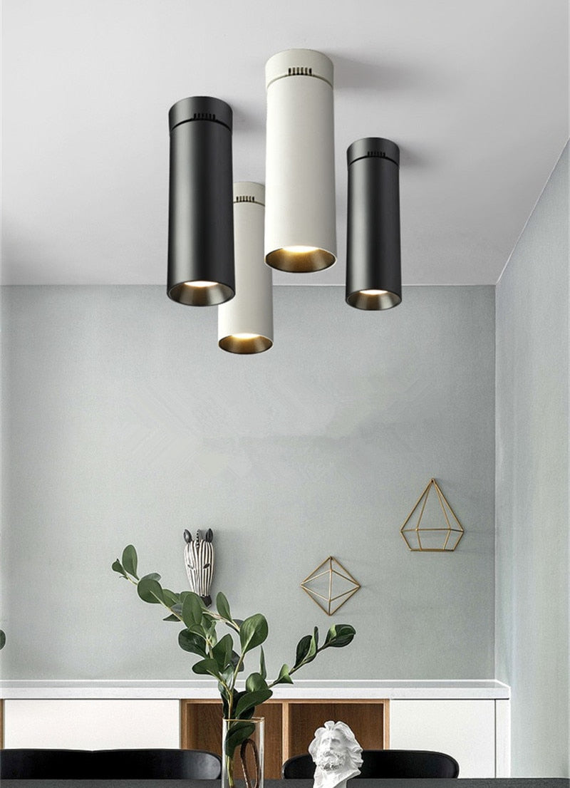 Ceiling Light 7W 12W 20W 30W COB LED Spotlight Surface Mounted Downlight Spot Lights family installation Ceiling Lamp 220V