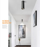 Ceiling Light 7W 12W 20W 30W COB LED Spotlight Surface Mounted Downlight Spot Lights family installation Ceiling Lamp 220V