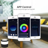 Benexmart Tuya WiFi LED Surface Mounted Light Dimmable Downlight for Ceiling 9W RGBCW NO Hole Round Spotlight Alexa Google Home