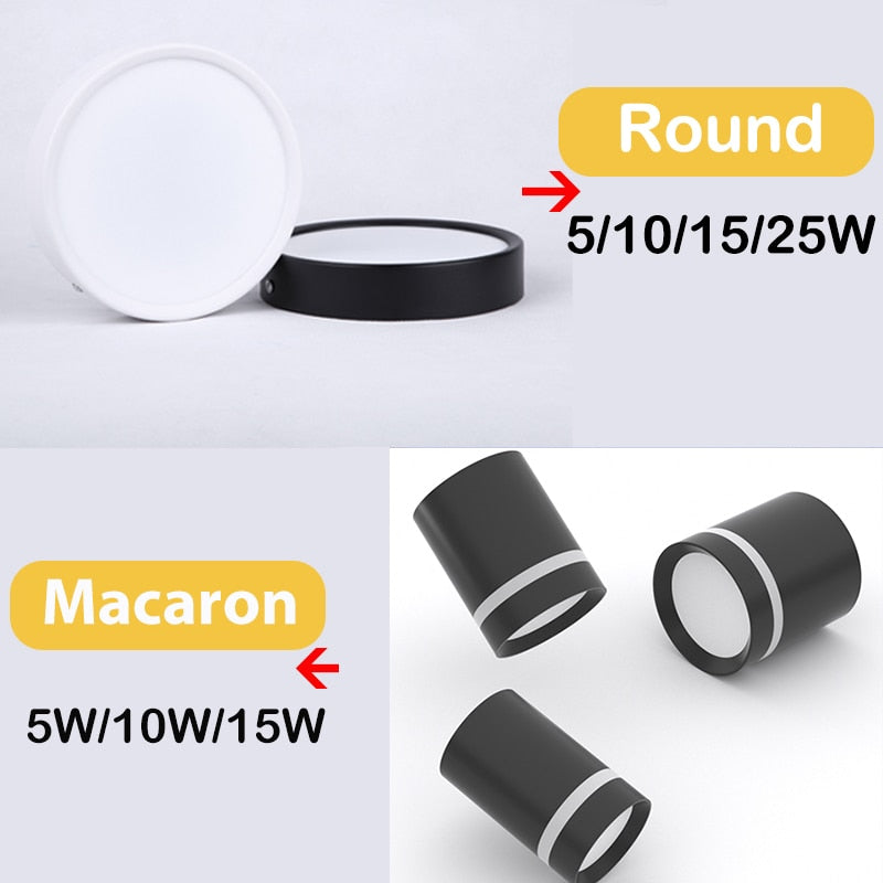 LED Downlights Light Fixture 220V 25W 15W 10W 5W Ceiling Spots Lamp Surface Mount Down Light Lighting for Home Store Downlight
