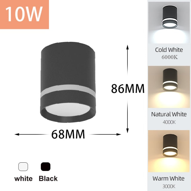 LED Downlights Light Fixture 220V 25W 15W 10W 5W Ceiling Spots Lamp Surface Mount Down Light Lighting for Home Store Downlight