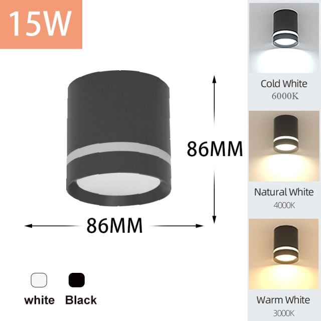 LED Downlights Light Fixture 220V 25W 15W 10W 5W Ceiling Spots Lamp Surface Mount Down Light Lighting for Home Store Downlight