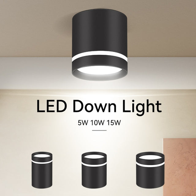 LED Downlights Light Fixture 220V 25W 15W 10W 5W Ceiling Spots Lamp Surface Mount Down Light Lighting for Home Store Downlight