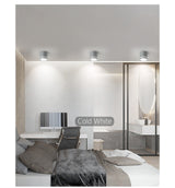 Led Downlight Surface Mounted 18W 12W AC220V Cold Warm Neutral Light SpotLamp Ceiling Fixtures For Living Room Kitchen Lighting