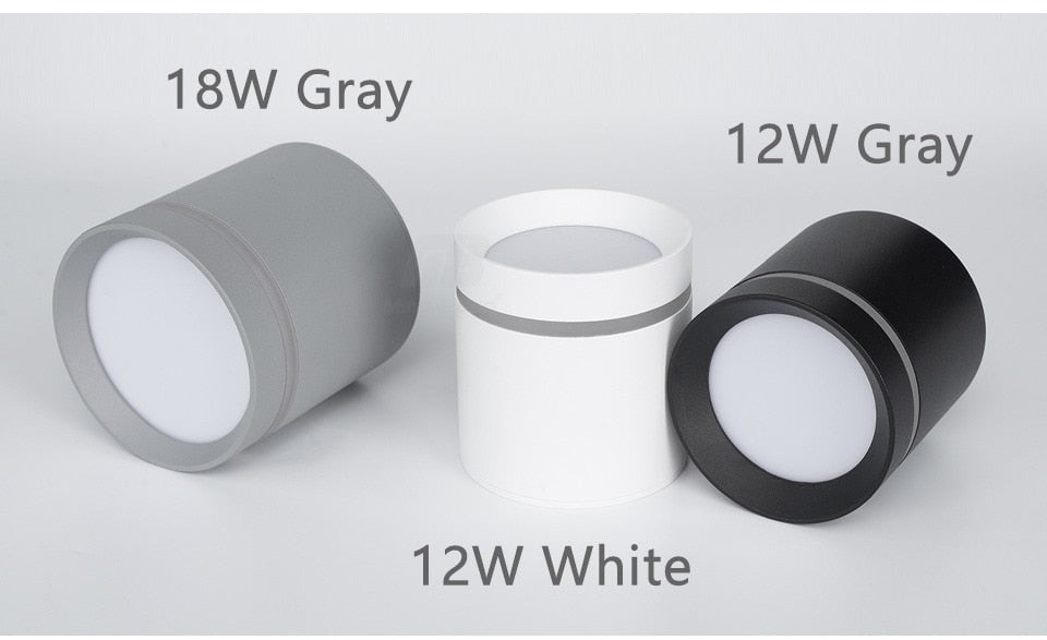 Led Downlight Surface Mounted 18W 12W AC220V Cold Warm Neutral Light SpotLamp Ceiling Fixtures For Living Room Kitchen Lighting