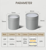 Led Downlight Surface Mounted 18W 12W AC220V Cold Warm Neutral Light SpotLamp Ceiling Fixtures For Living Room Kitchen Lighting