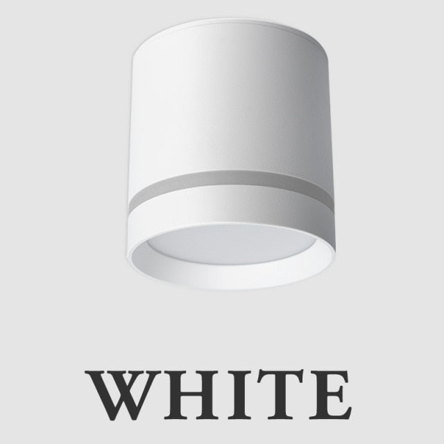 Led Downlight Surface Mounted 18W 12W AC220V Cold Warm Neutral Light SpotLamp Ceiling Fixtures For Living Room Kitchen Lighting