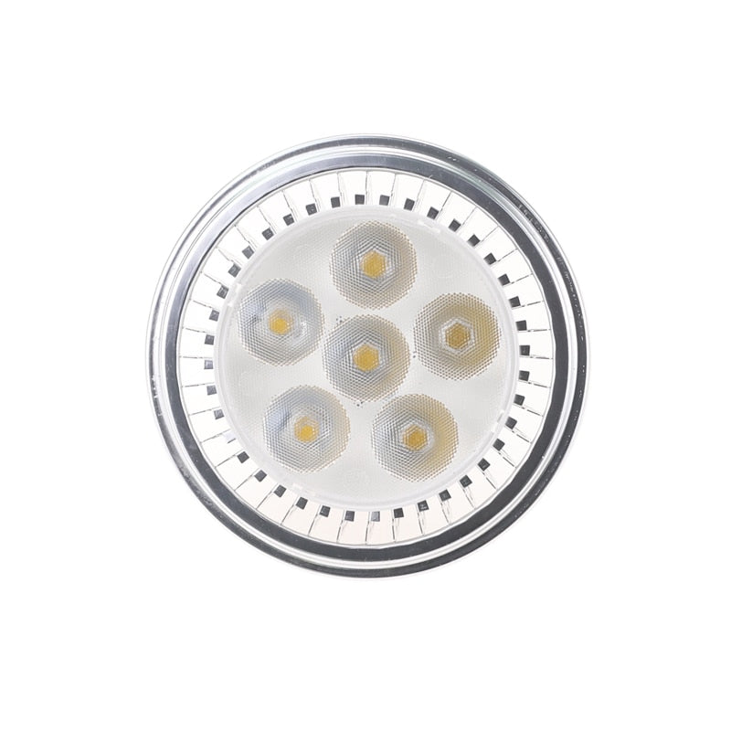 Downlight 220V Dimmable 230V  DC12V G53 Dia 111 Downlight 12W AR111 Light Bulb