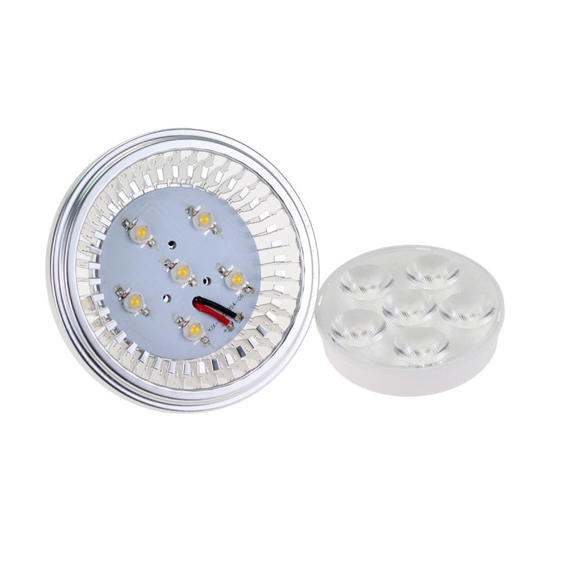 Downlight 220V Dimmable 230V  DC12V G53 Dia 111 Downlight 12W AR111 Light Bulb