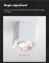 Adjustable Surface Mounted Square Downlight Daring Lamp Nordic Spot Light Ceiling Lamp Corridor Aisle Porch