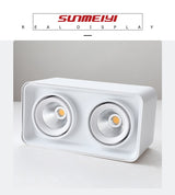 Adjustable Surface Mounted Square Downlight Daring Lamp Nordic Spot Light Ceiling Lamp Corridor Aisle Porch