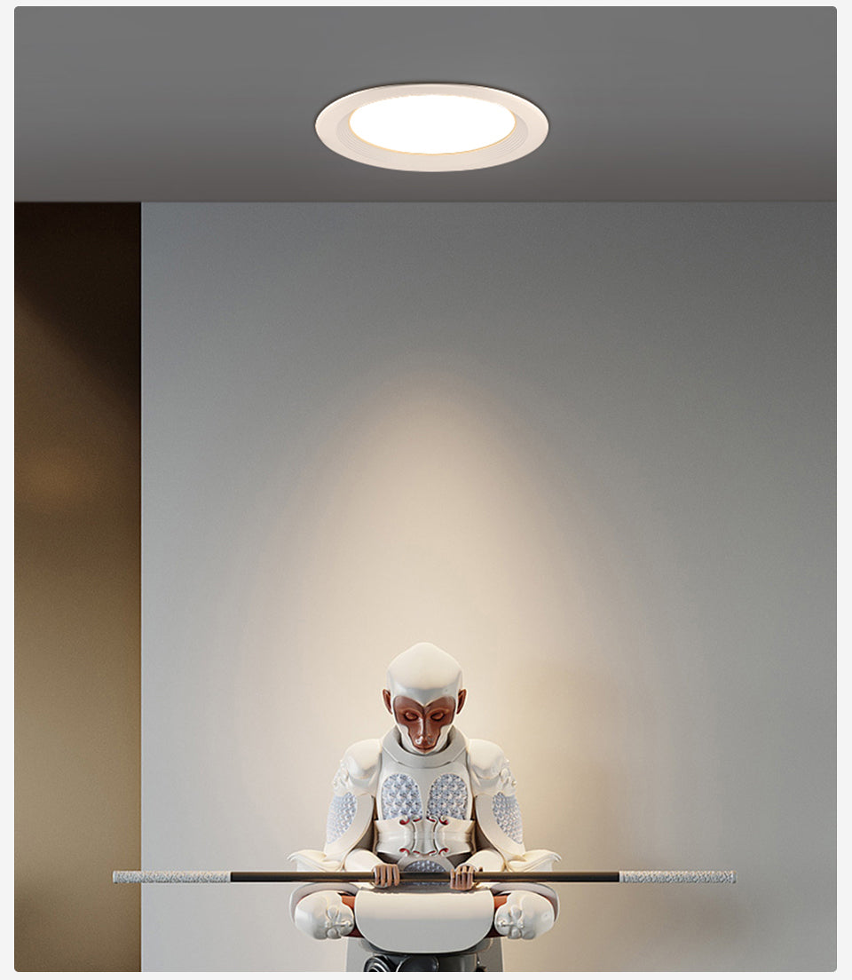 High Brightness LED Downlight Recessed Round Aluminum LED Ceiling Lamp 7W 10W 20W 30W 50W Warm Cold White AC220-240V Spotlights