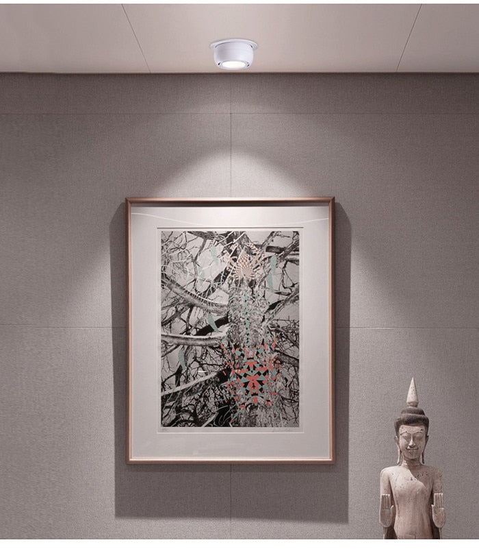 Dimmable Embedded Retractable LED COB Ceiling 7W 15w 20W 24W AC85-265V Adjustable 360 Degree LED Trunk Downlight Home Lighting