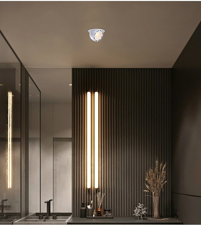 Dimmable Embedded Retractable LED COB Ceiling 7W 15w 20W 24W AC85-265V Adjustable 360 Degree LED Trunk Downlight Home Lighting