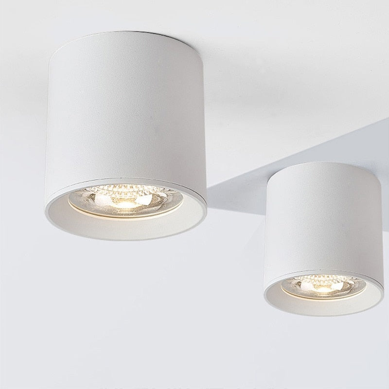 Surface Mounted LED COB Ceiling LED Downlight 10W 15W 20W 30W 50W 110V 220V Black White Round Indoor Lighting 3000K 6000K