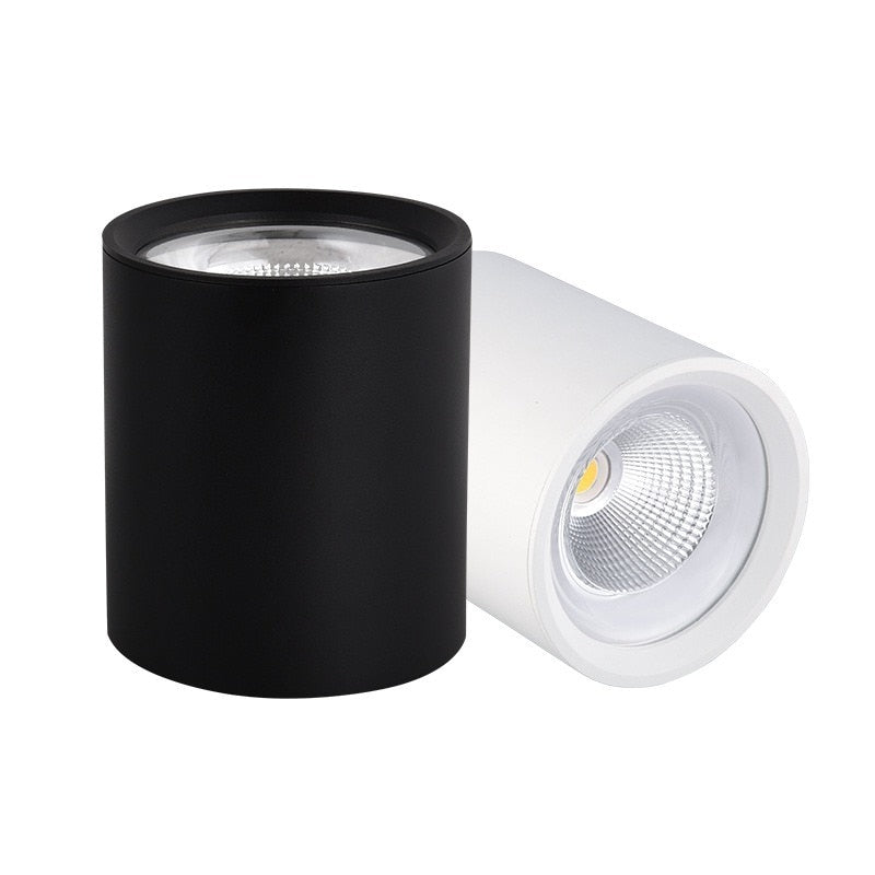 Surface Mounted LED COB Ceiling LED Downlight 10W 15W 20W 30W 50W 110V 220V Black White Round Indoor Lighting 3000K 6000K
