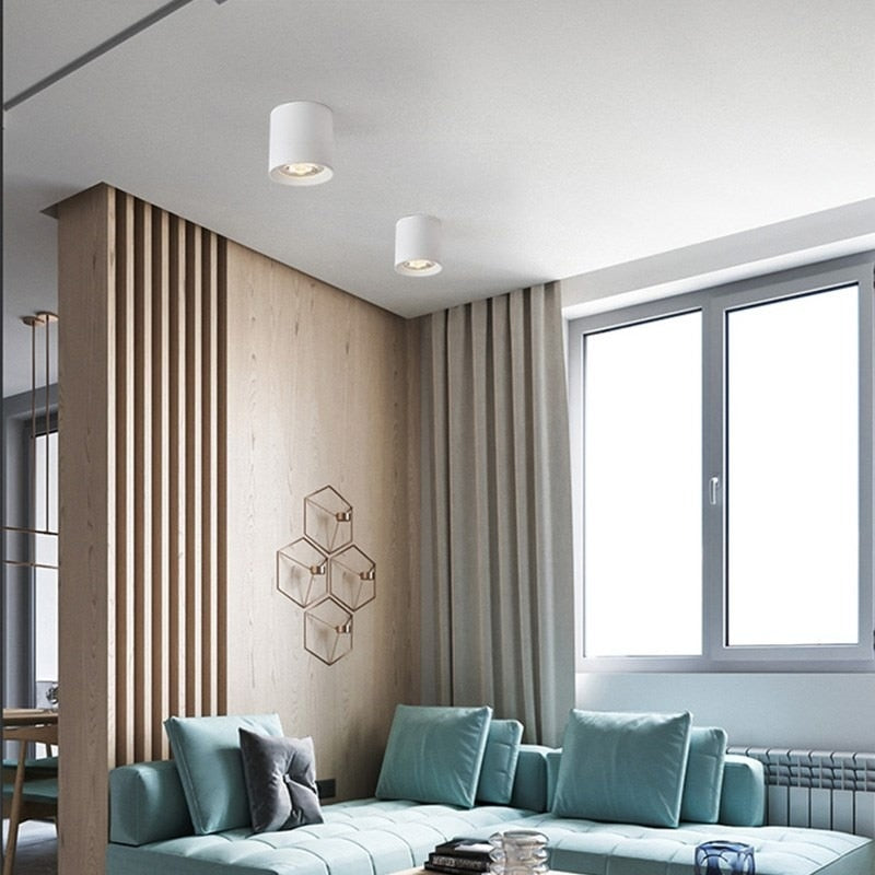 Surface Mounted LED COB Ceiling LED Downlight 10W 15W 20W 30W 50W 110V 220V Black White Round Indoor Lighting 3000K 6000K