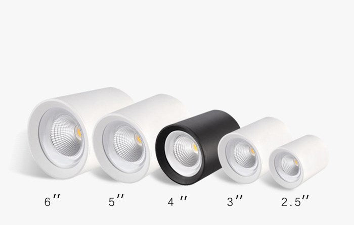 Surface Mounted LED COB Ceiling LED Downlight 10W 15W 20W 30W 50W 110V 220V Black White Round Indoor Lighting 3000K 6000K