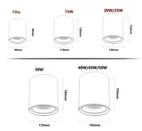 Surface Mounted LED COB Ceiling LED Downlight 10W 15W 20W 30W 50W 110V 220V Black White Round Indoor Lighting 3000K 6000K