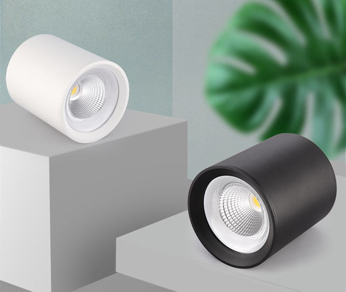 Surface Mounted LED COB Ceiling LED Downlight 10W 15W 20W 30W 50W 110V 220V Black White Round Indoor Lighting 3000K 6000K