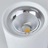 Surface Mounted LED COB Ceiling LED Downlight 10W 15W 20W 30W 50W 110V 220V Black White Round Indoor Lighting 3000K 6000K
