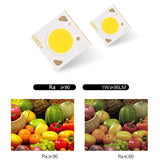 Surface Mounted LED COB Ceiling LED Downlight 10W 15W 20W 30W 50W 110V 220V Black White Round Indoor Lighting 3000K 6000K