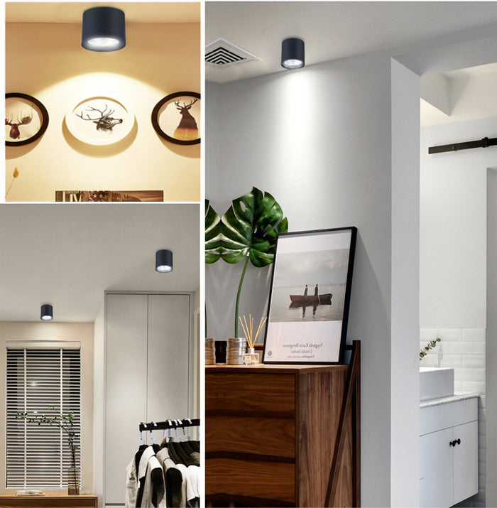 Surface Mounted LED COB Ceiling LED Downlight 10W 15W 20W 30W 50W 110V 220V Black White Round Indoor Lighting 3000K 6000K