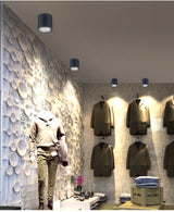 Surface Mounted LED COB Ceiling LED Downlight 10W 15W 20W 30W 50W 110V 220V Black White Round Indoor Lighting 3000K 6000K