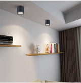 Surface Mounted LED COB Ceiling LED Downlight 10W 15W 20W 30W 50W 110V 220V Black White Round Indoor Lighting 3000K 6000K