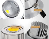 Spot LED DownLight AC85-265V 3W 5W 7W 10W 12W Dimmable LED COB Spot Recessed Down light Downlights
