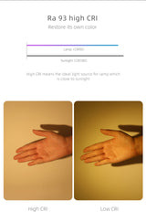 Aisilan LED Recessed Square Four-head Ceiling Plaster Spotlight Embedded Gypsum Downlight 28W Home For Indoor Living room Bedroom