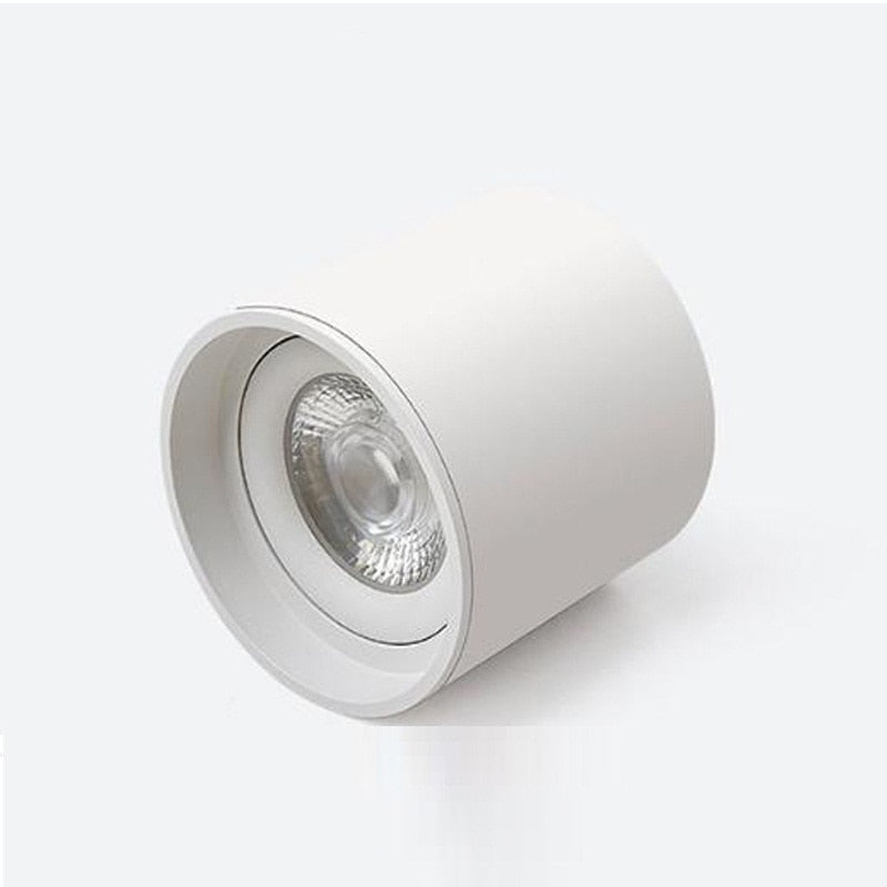 Dimmable LED Spotlight 7W 10W 15W 20W 110V/220V Downlight Angle Adjustable Ceiling Type Living Room Bedroom Household Spotlight