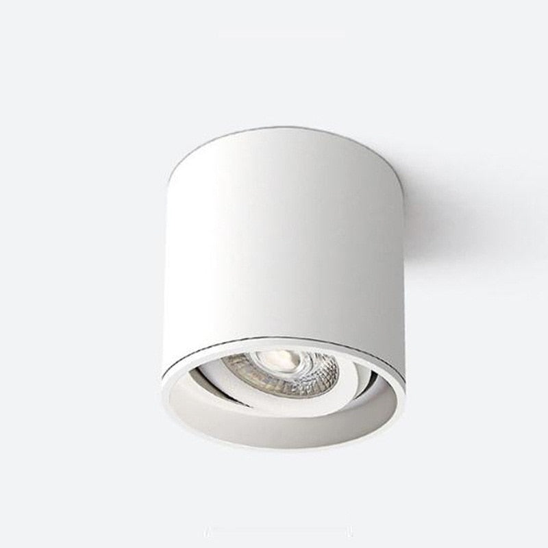 Dimmable LED Spotlight 7W 10W 15W 20W 110V/220V Downlight Angle Adjustable Ceiling Type Living Room Bedroom Household Spotlight