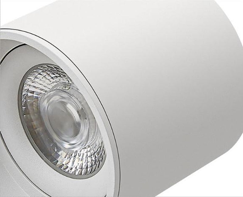 Dimmable LED Spotlight 7W 10W 15W 20W 110V/220V Downlight Angle Adjustable Ceiling Type Living Room Bedroom Household Spotlight