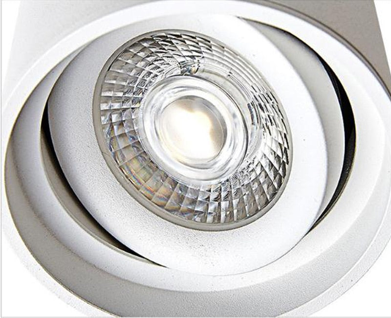 Dimmable LED Spotlight 7W 10W 15W 20W 110V/220V Downlight Angle Adjustable Ceiling Type Living Room Bedroom Household Spotlight